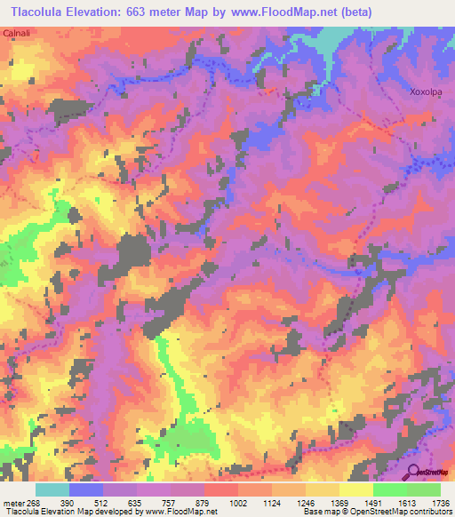 Tlacolula,Mexico Elevation Map