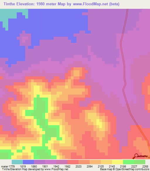 Tinthe,Mexico Elevation Map