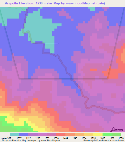 Tilzapotla,Mexico Elevation Map