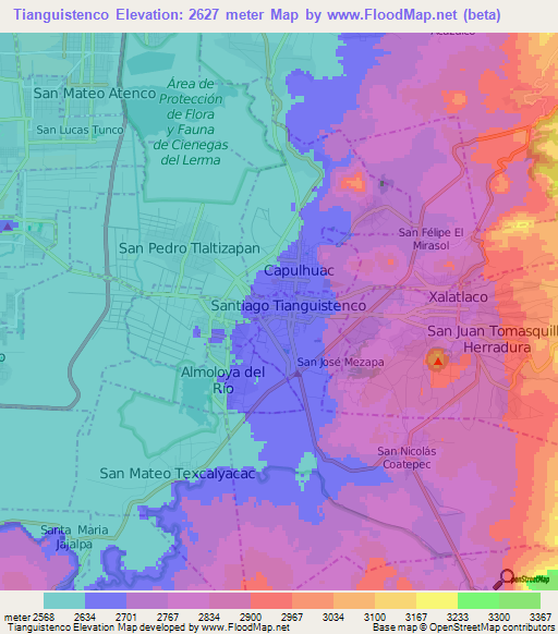 Tianguistenco,Mexico Elevation Map