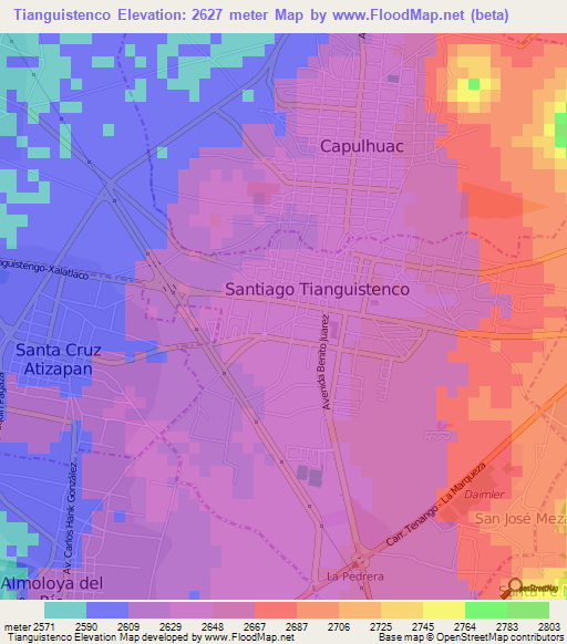 Tianguistenco,Mexico Elevation Map