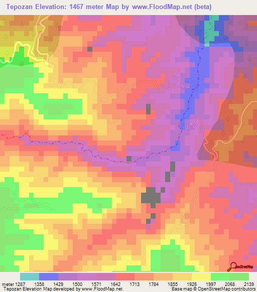 Tepozan,Mexico Elevation Map