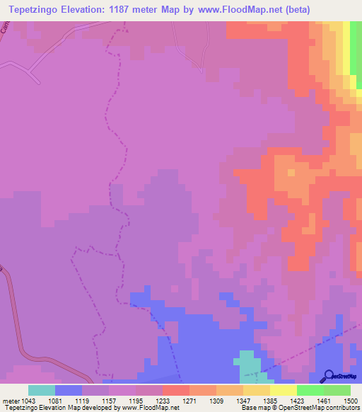 Tepetzingo,Mexico Elevation Map