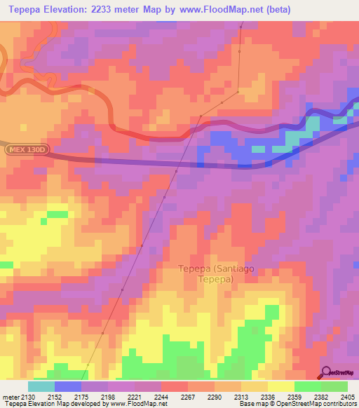 Tepepa,Mexico Elevation Map