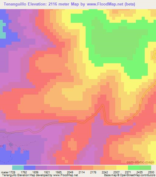 Tenanguillo,Mexico Elevation Map