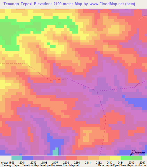 Tenango Tepexi,Mexico Elevation Map