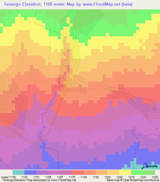 Tenango,Mexico Elevation Map