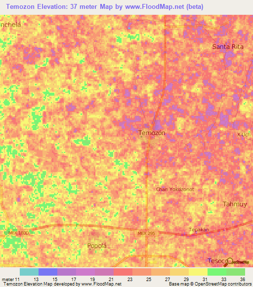 Temozon,Mexico Elevation Map