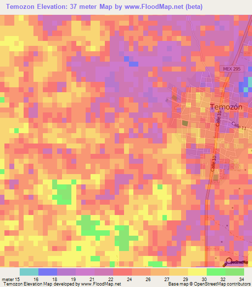 Temozon,Mexico Elevation Map