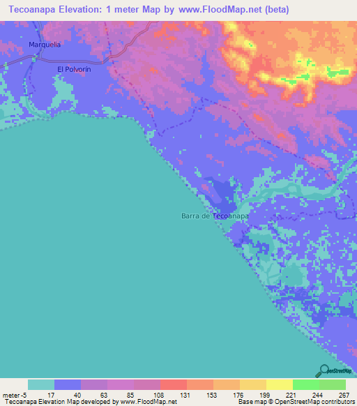 Tecoanapa,Mexico Elevation Map