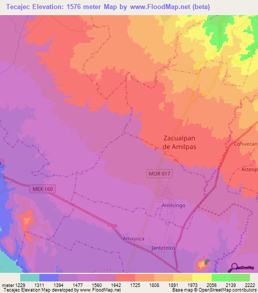 Tecajec,Mexico Elevation Map