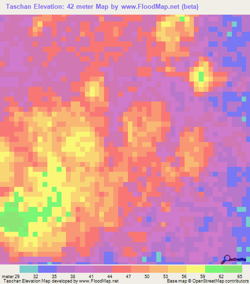 Taschan,Mexico Elevation Map