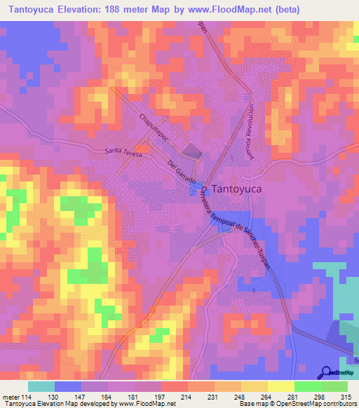 Tantoyuca,Mexico Elevation Map