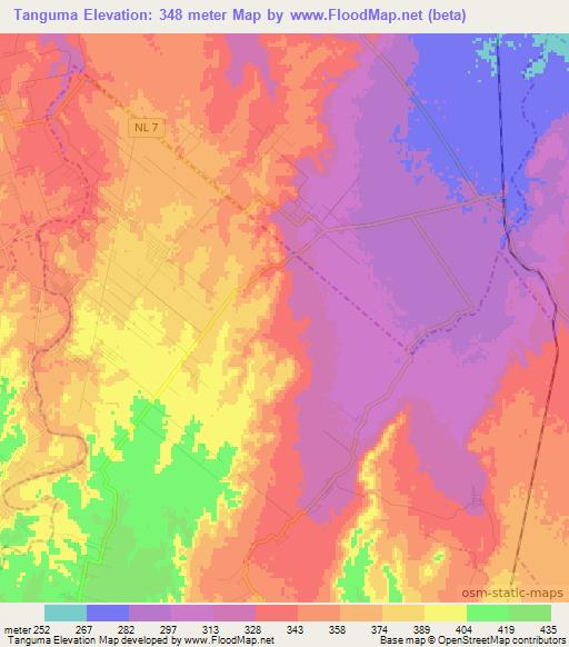 Tanguma,Mexico Elevation Map