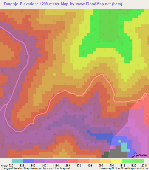 Tangojo,Mexico Elevation Map