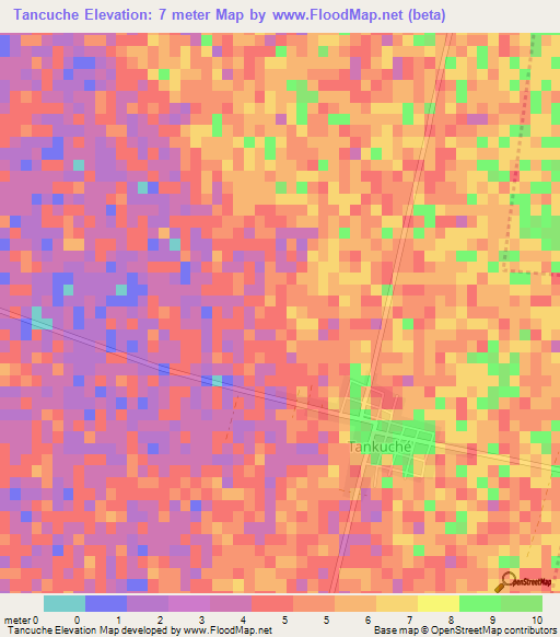 Tancuche,Mexico Elevation Map