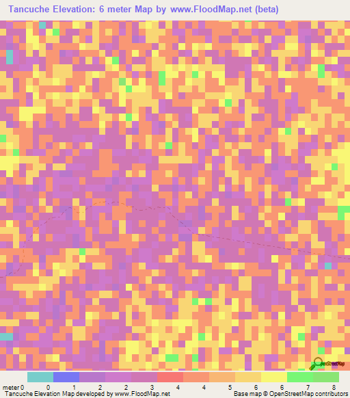 Tancuche,Mexico Elevation Map