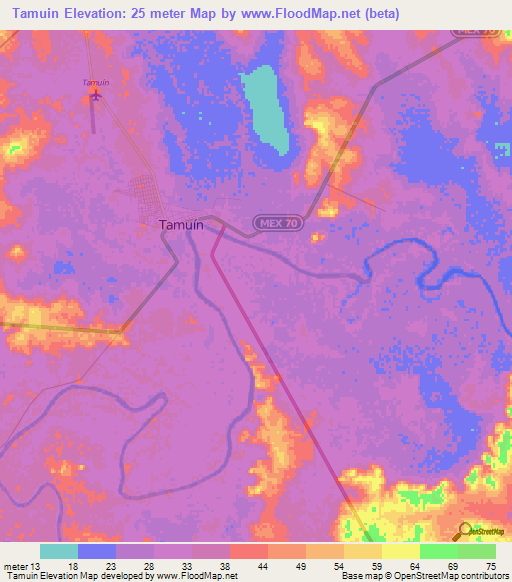 Tamuin,Mexico Elevation Map