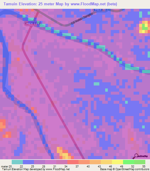 Tamuin,Mexico Elevation Map