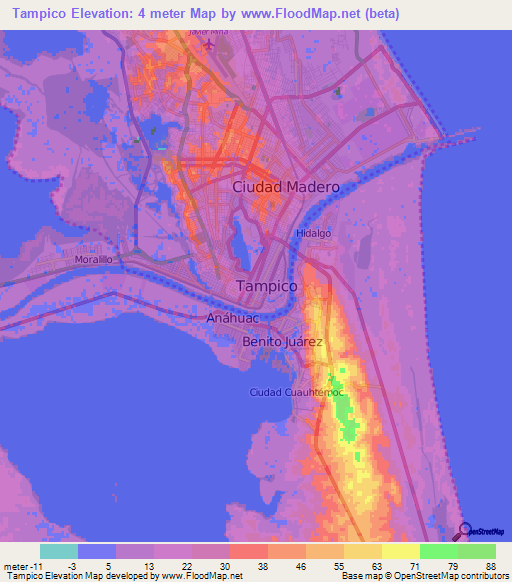 Tampico,Mexico Elevation Map