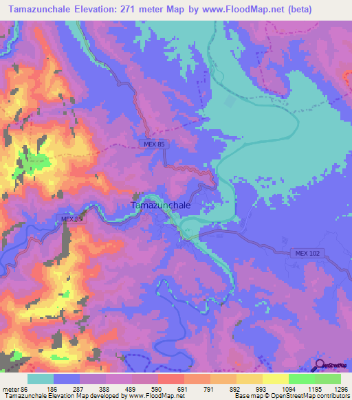 Tamazunchale,Mexico Elevation Map