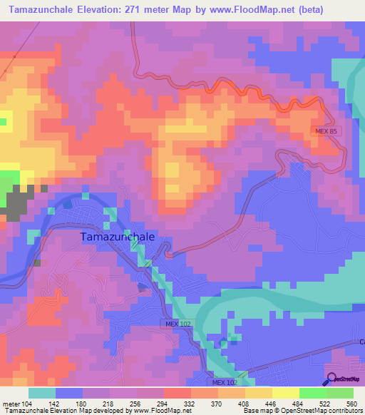 Tamazunchale,Mexico Elevation Map