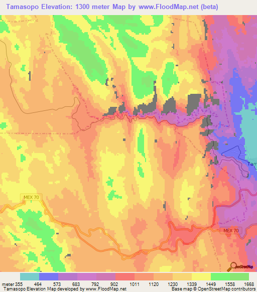 Tamasopo,Mexico Elevation Map