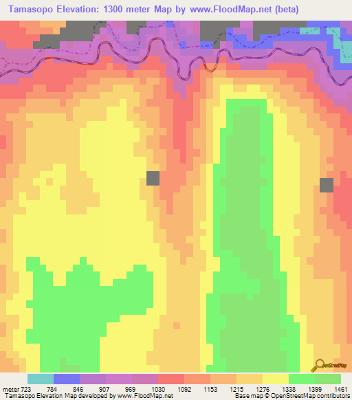 Tamasopo,Mexico Elevation Map