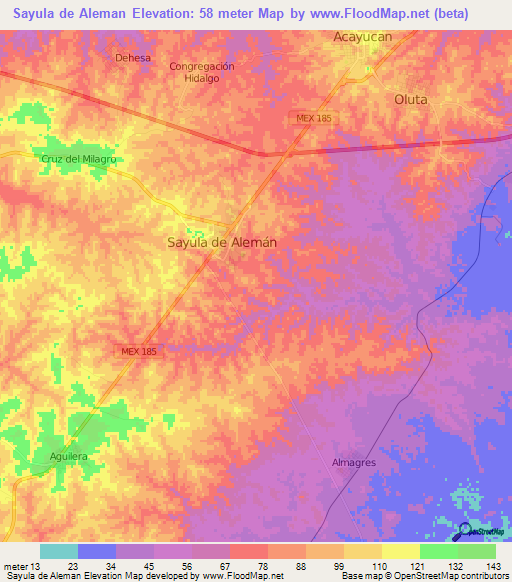 Sayula de Aleman,Mexico Elevation Map