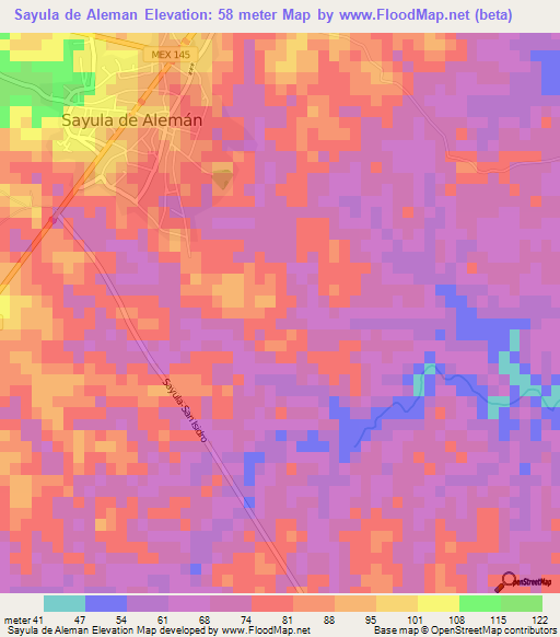 Sayula de Aleman,Mexico Elevation Map