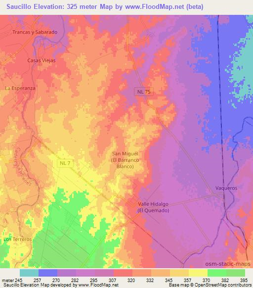 Saucillo,Mexico Elevation Map