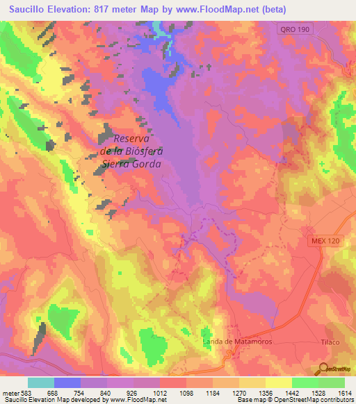 Saucillo,Mexico Elevation Map