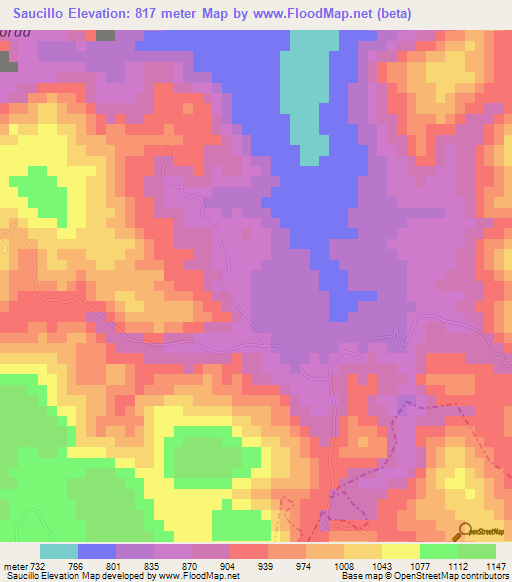 Saucillo,Mexico Elevation Map