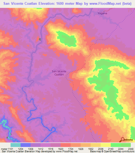 San Vicente Coatlan,Mexico Elevation Map