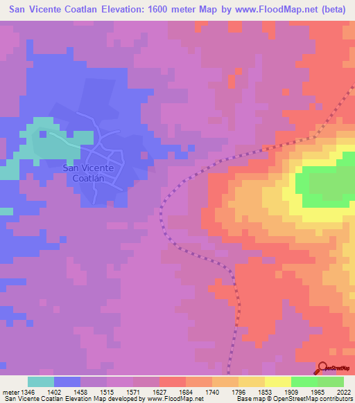 San Vicente Coatlan,Mexico Elevation Map