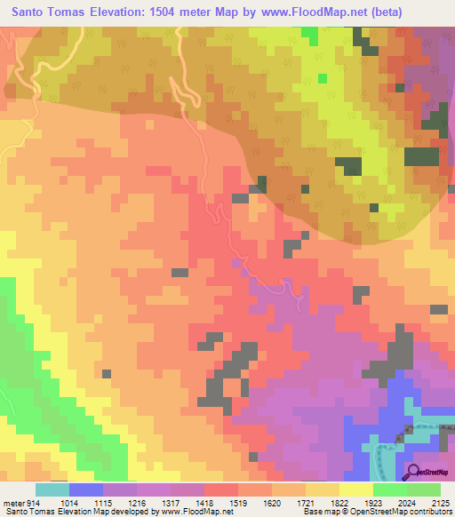 Santo Tomas,Mexico Elevation Map