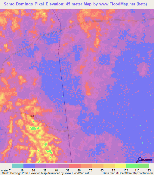 Santo Domingo Pixal,Mexico Elevation Map