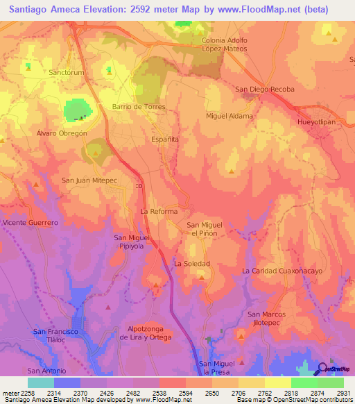 Santiago Ameca,Mexico Elevation Map