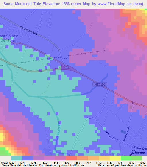 Santa Maria del Tule,Mexico Elevation Map