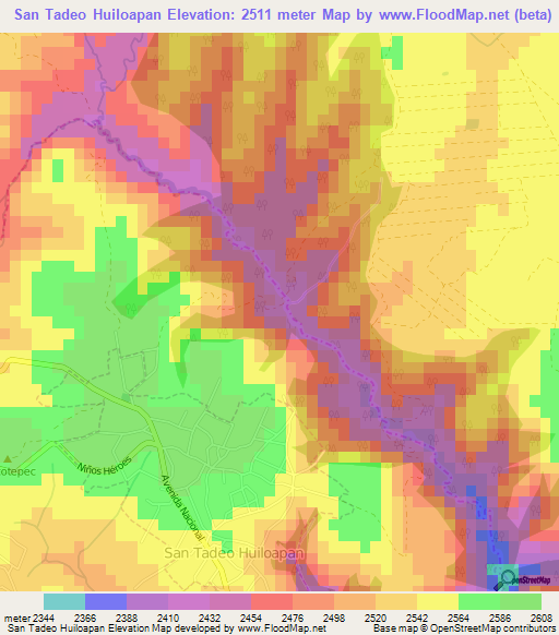 San Tadeo Huiloapan,Mexico Elevation Map