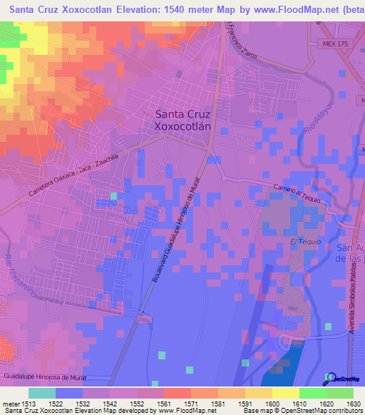 Santa Cruz Xoxocotlan,Mexico Elevation Map