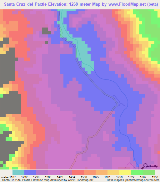 Santa Cruz del Paxtle,Mexico Elevation Map