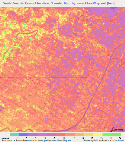 Santa Ana de Bravo,Mexico Elevation Map