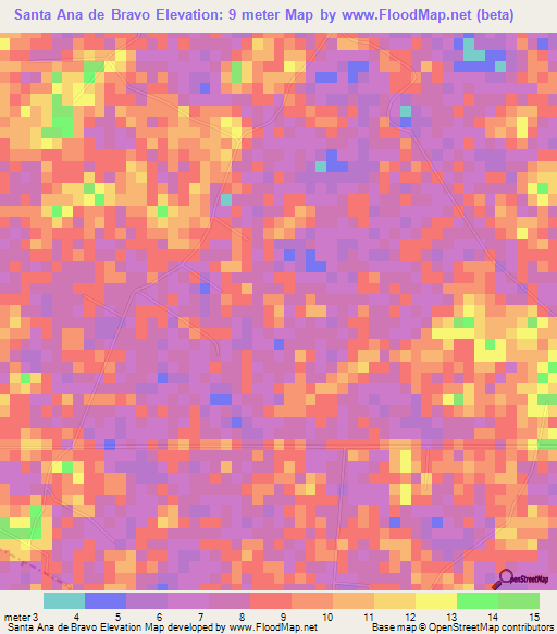 Santa Ana de Bravo,Mexico Elevation Map