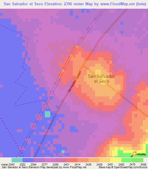 San Salvador el Seco,Mexico Elevation Map