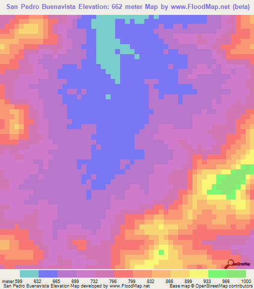 San Pedro Buenavista,Mexico Elevation Map