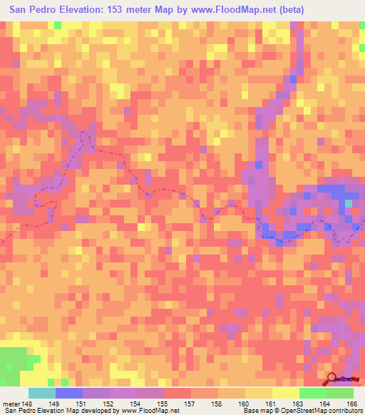 San Pedro,Mexico Elevation Map