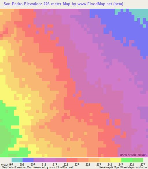 San Pedro,Mexico Elevation Map