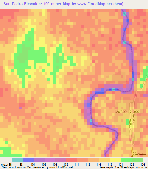 San Pedro,Mexico Elevation Map