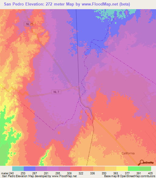 San Pedro,Mexico Elevation Map